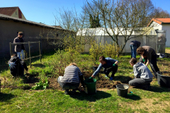 fruehjahrsputz_2026_011