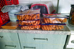 schulflohmarkt_2024_08