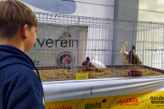 sommerfest_2024_018
