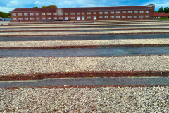 themenwoche_nationalsozialismus_neuengamme_2025_007